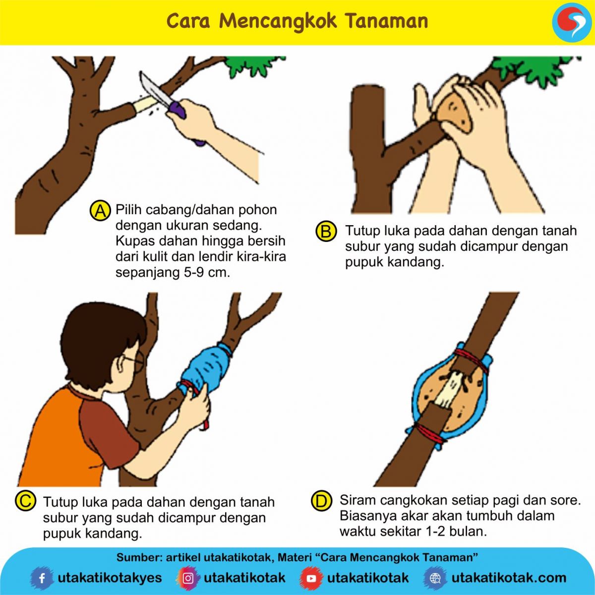 Cara Mencangkok Tanaman - UtakAtikOtak.com